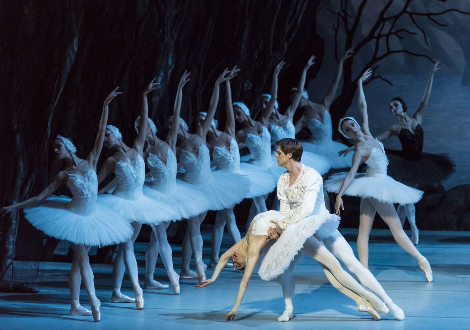 Swan Lake stage scene with corps de ballet
