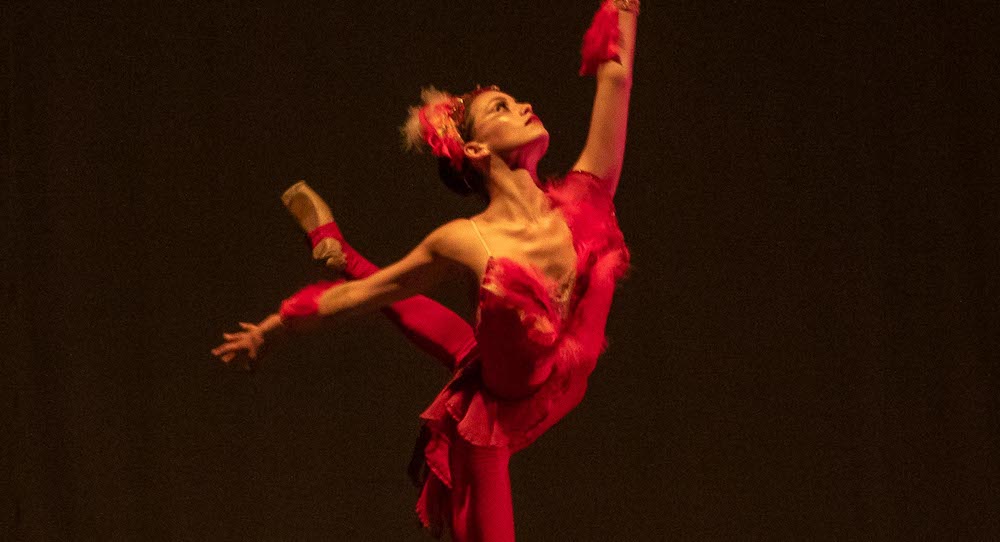 The Firebird evocative stage imagery