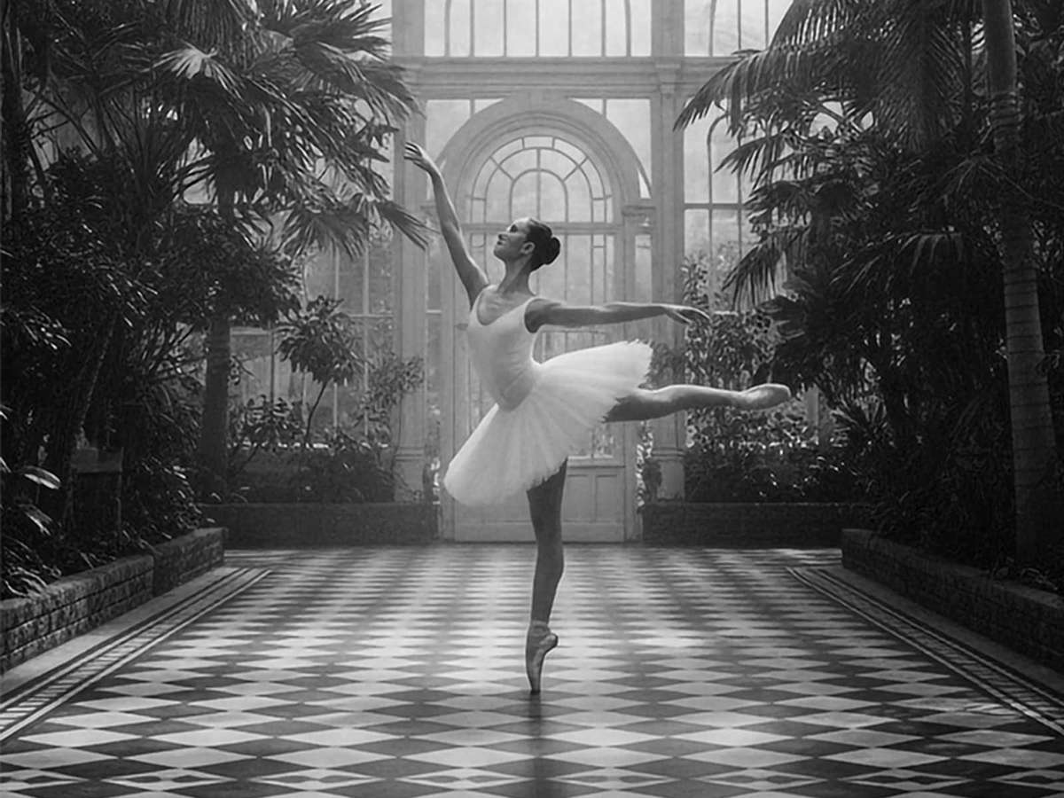 Backlit ballerina captured mid-entrance, silhouette and composed gesture creating a tranquil focal point