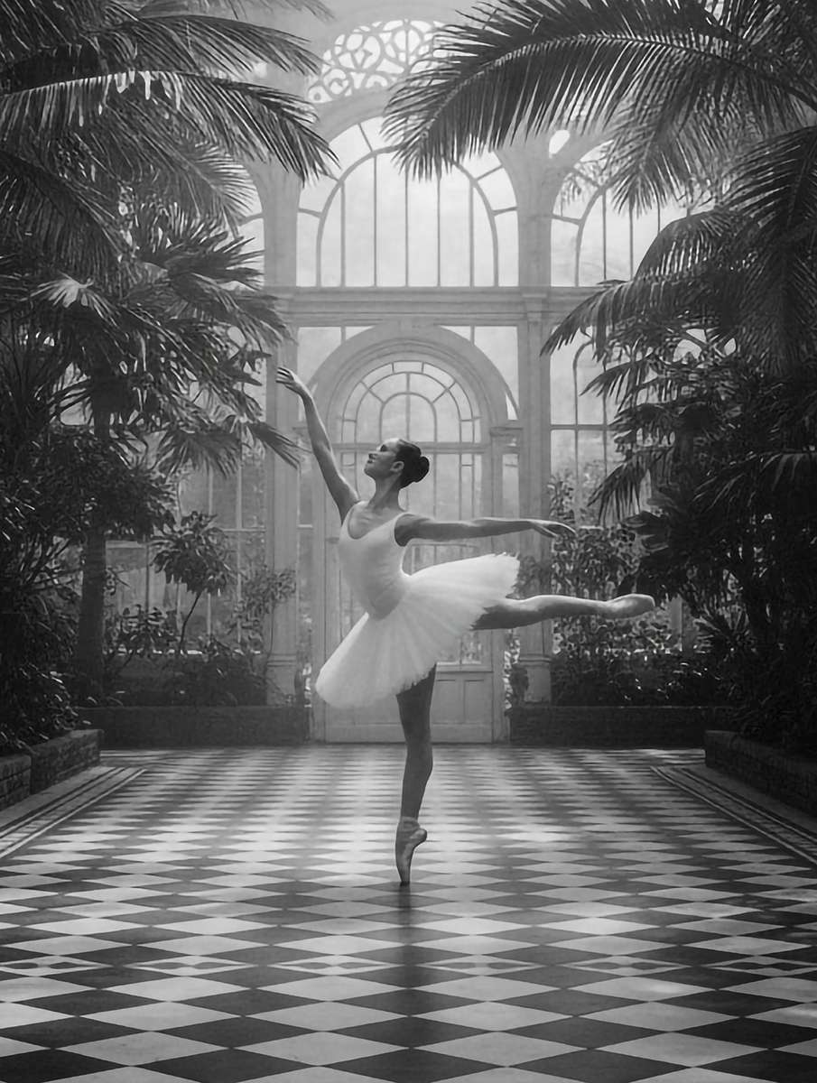 Single ballerina holding a classic plié, clear contours and poised balance captured in the frame