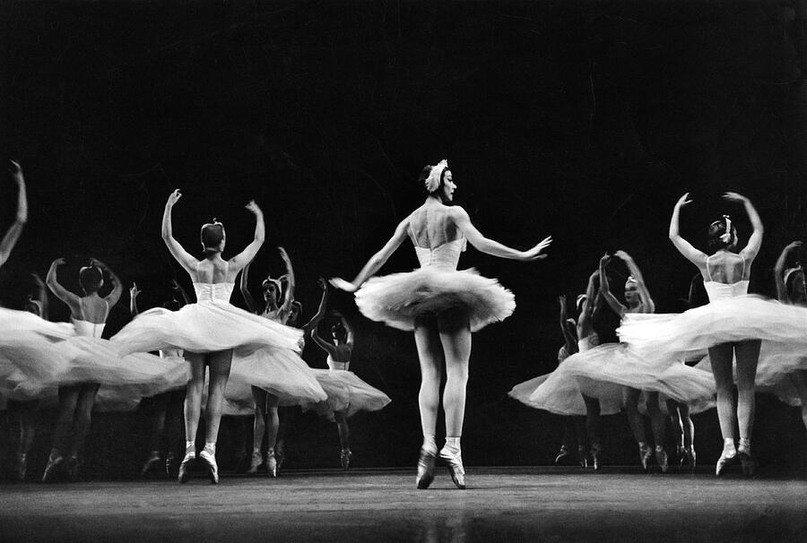 Margot Fonteyn poised on stage in a classic tutu, arms rounded and gaze focused, captured mid-performance